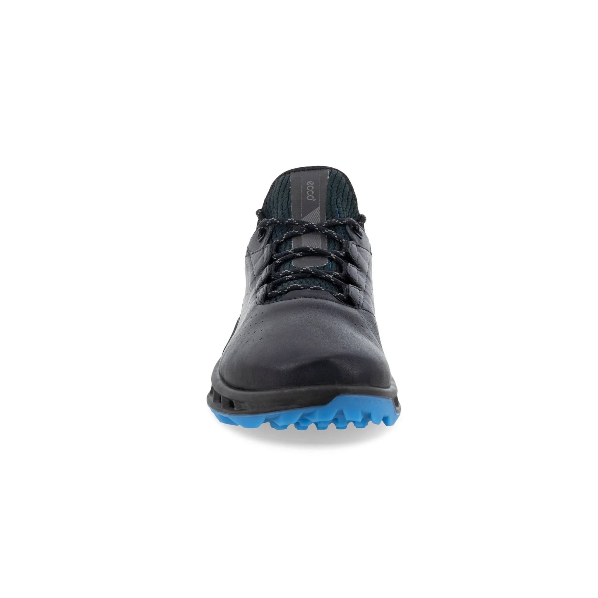 Ecco Heren Golf Biom C4 Black