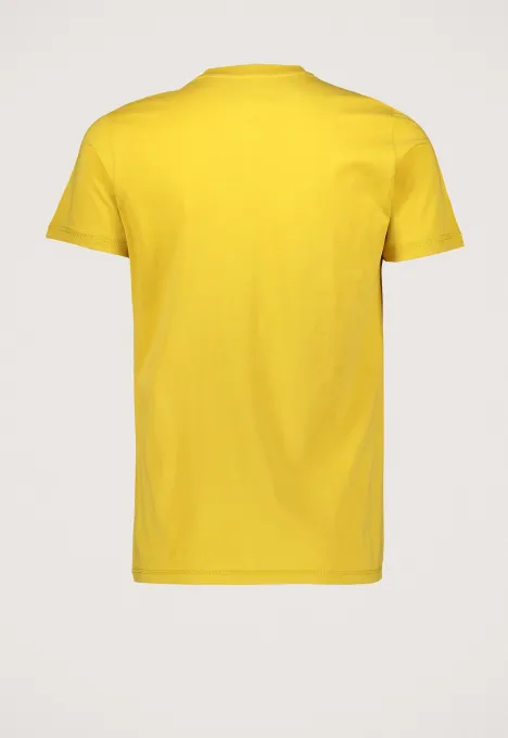 TOMMY JEANS  CHEST LOGO TSHIRT DM0DM10099